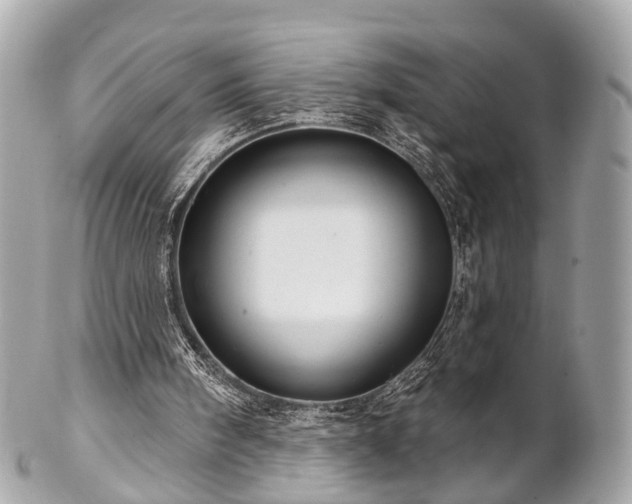 X0000102500098200808151531