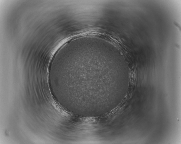 X0000102500100200808151531