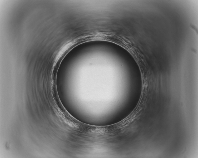 X0000102500102200808151531