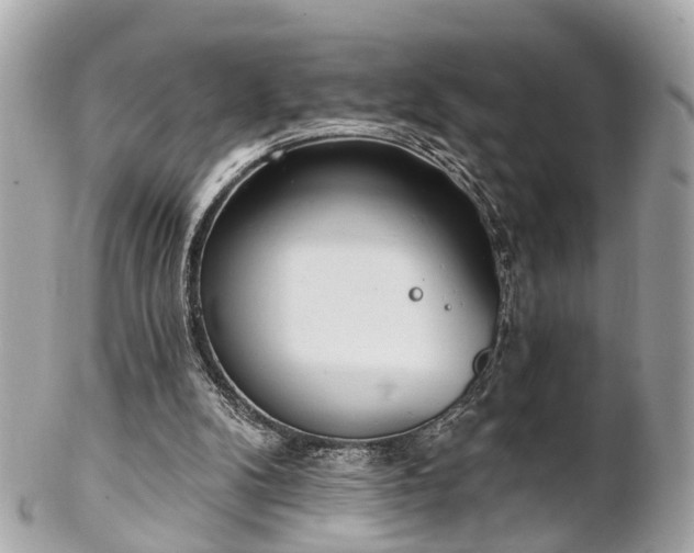 X0000102500104200808151531