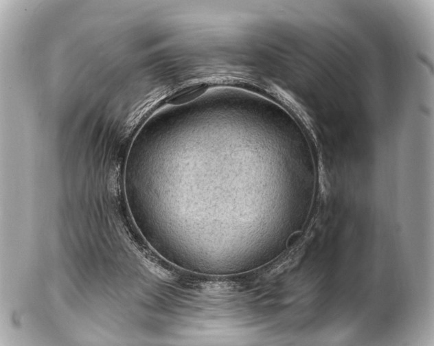 X0000102500105200808151531