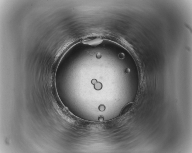 X0000102500106200808151531