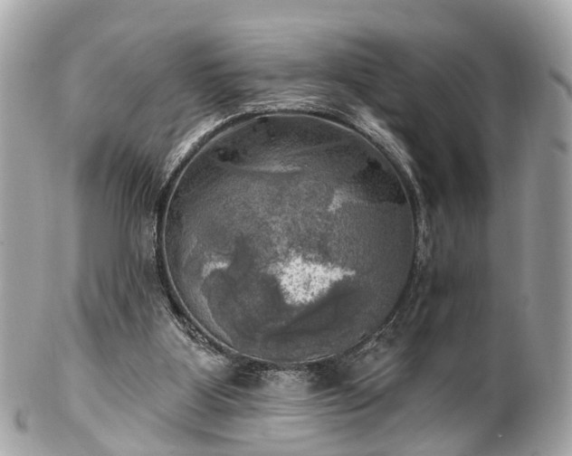 X0000102500107200808151531