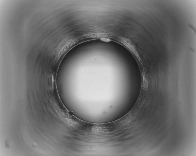 X0000102500109200808151531