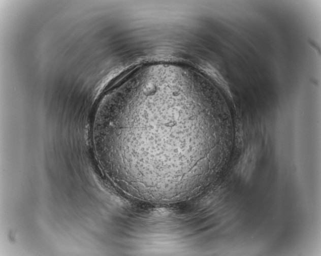 X0000102500111200808151531