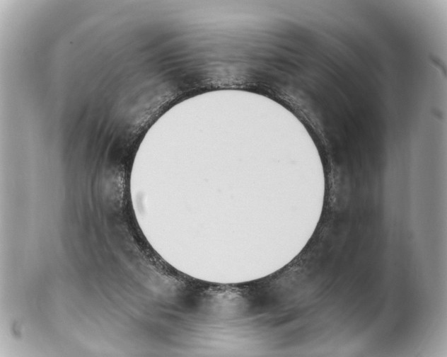 X0000102500113200808151531