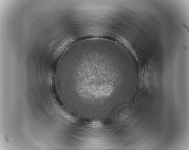 X0000102500114200808151531