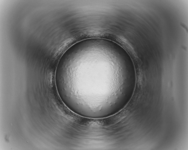 X0000102500115200808151531