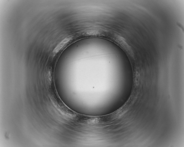 X0000102500116200808151531