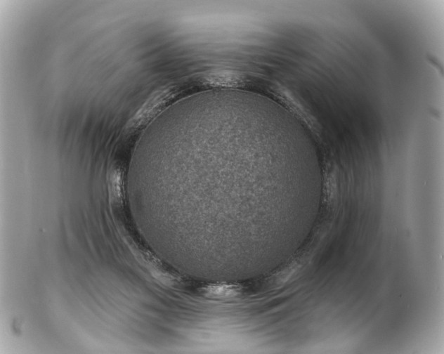 X0000102500117200808151531