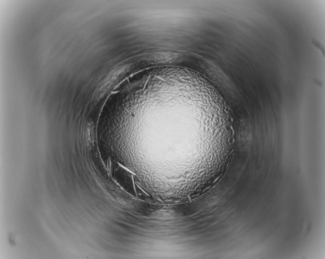 X0000102500119200808151531