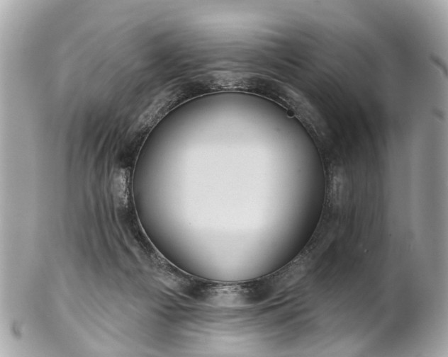 X0000102500121200808151531