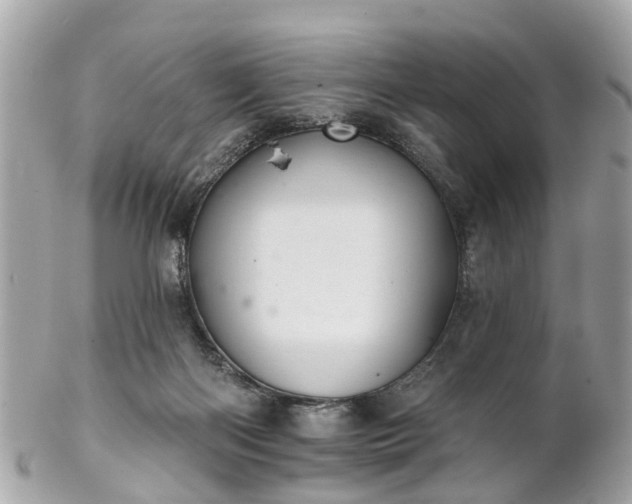 X0000102500122200808151530