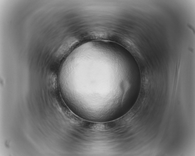 X0000102500123200808151530