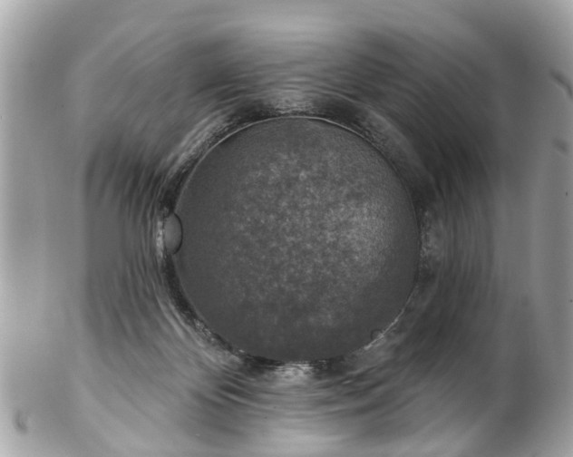 X0000102500124200808151530