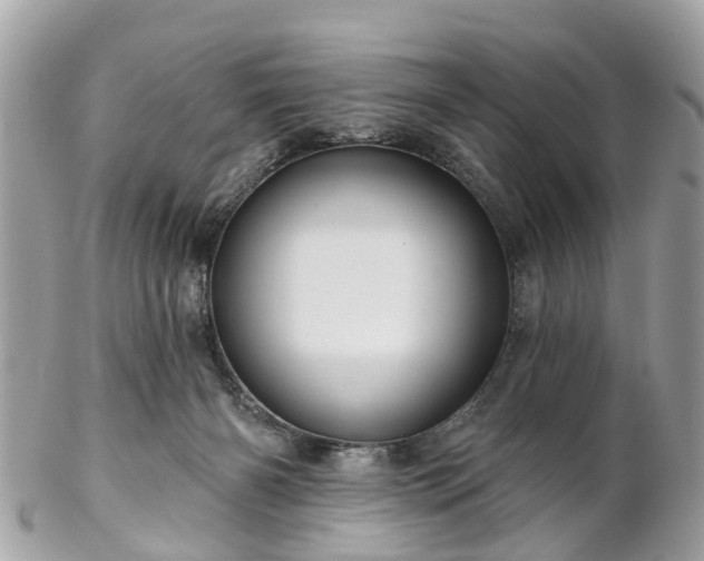 X0000102500126200808151530