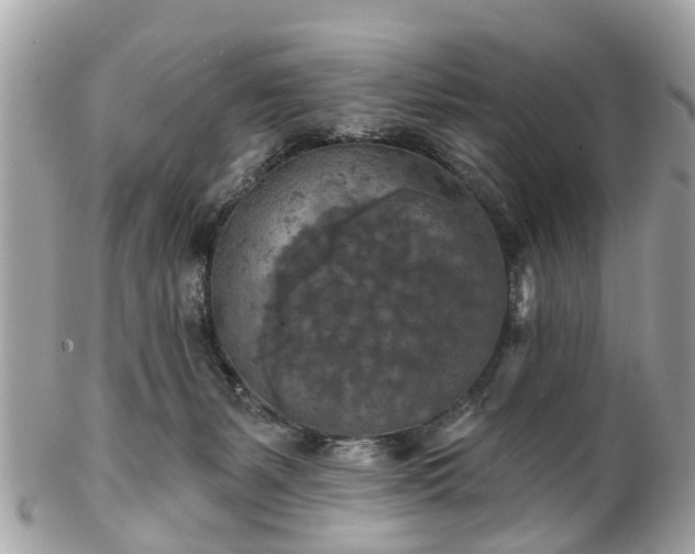 X0000102500127200808151530