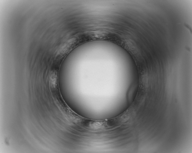 X0000102500129200808151530