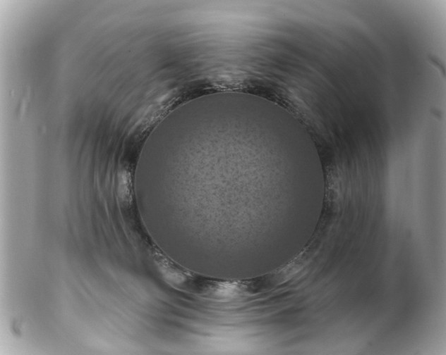 X0000102500130200808151530