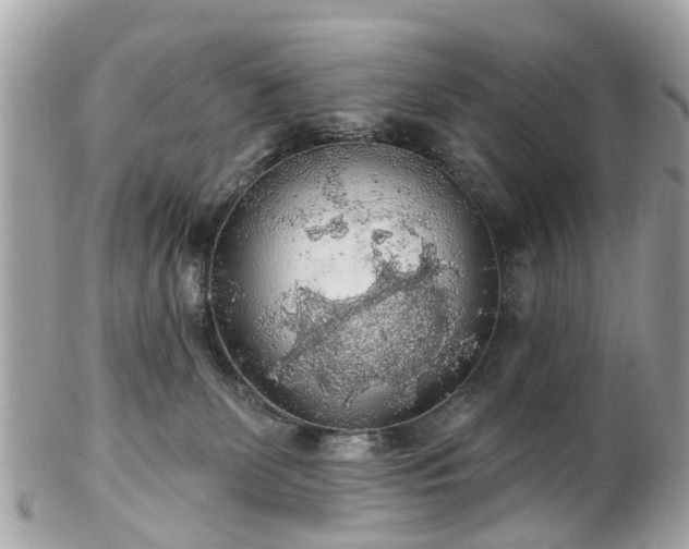 X0000102500131200808151530