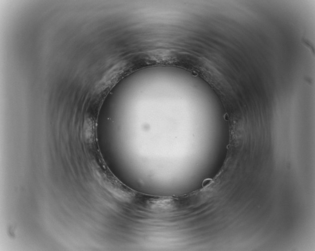 X0000102500132200808151530