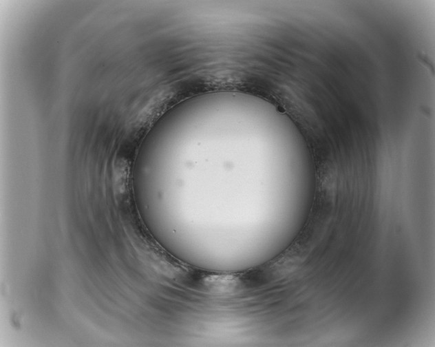 X0000102500133200808151530