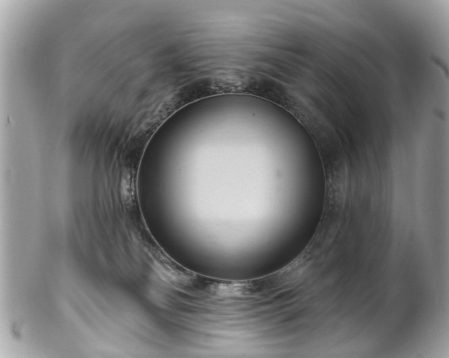 X0000102500134200808151530