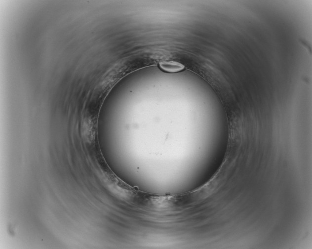 X0000102500136200808151530