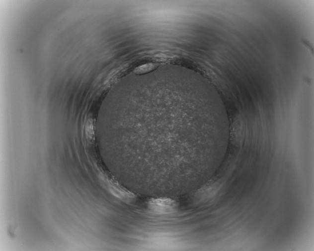 X0000102500137200808151530