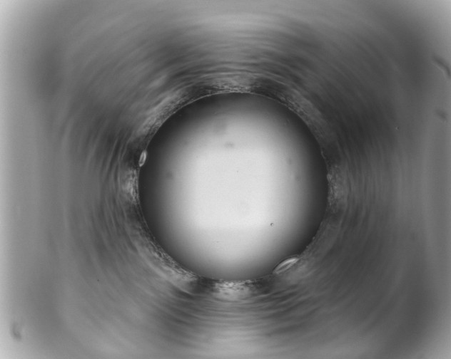 X0000102500141200808151530