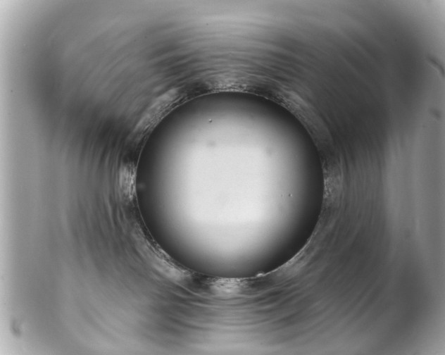 X0000102500142200808151530