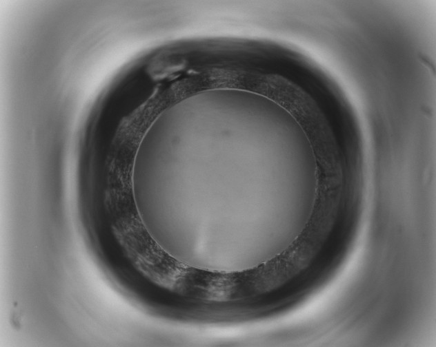 X0000102500143200808151530