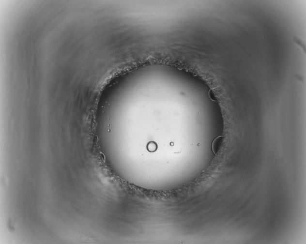 X0000102500144200808151530