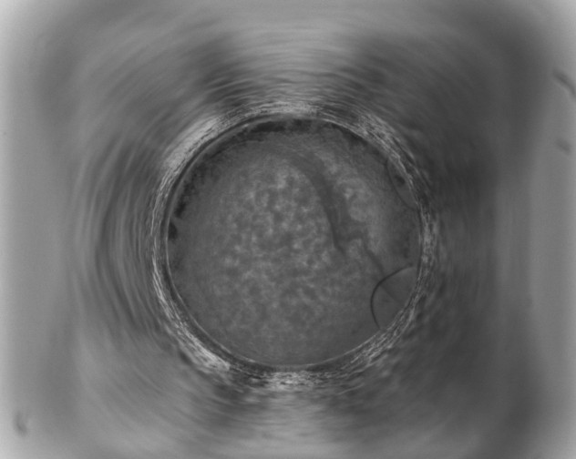 X0000102500145200808151529