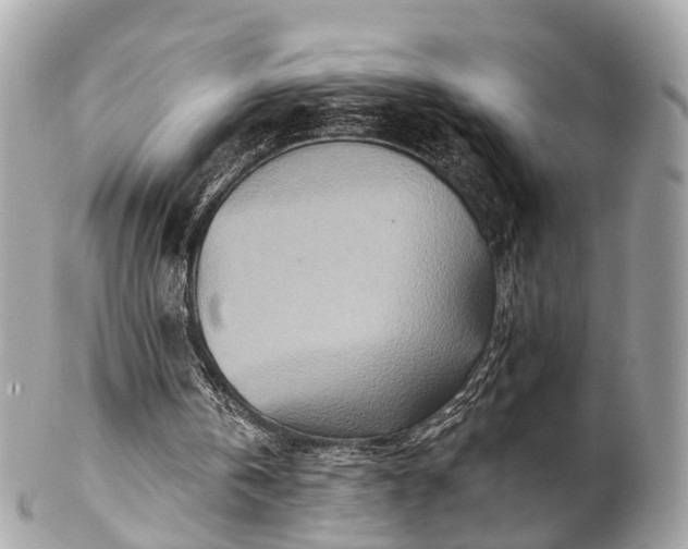 X0000102500146200808151529