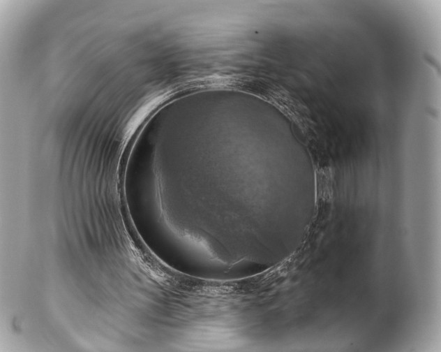 X0000102500147200808151529