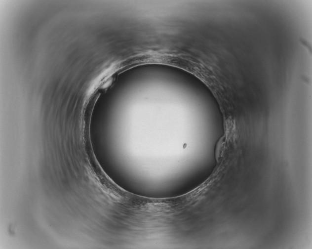 X0000102500150200808151530