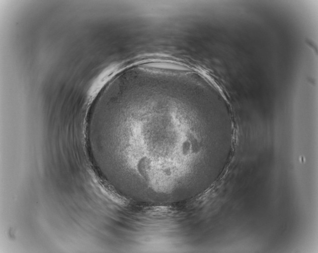 X0000102500151200808151530