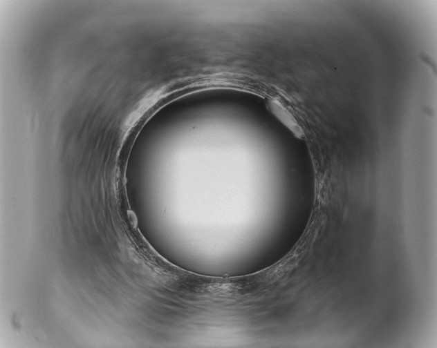 X0000102500152200808151530