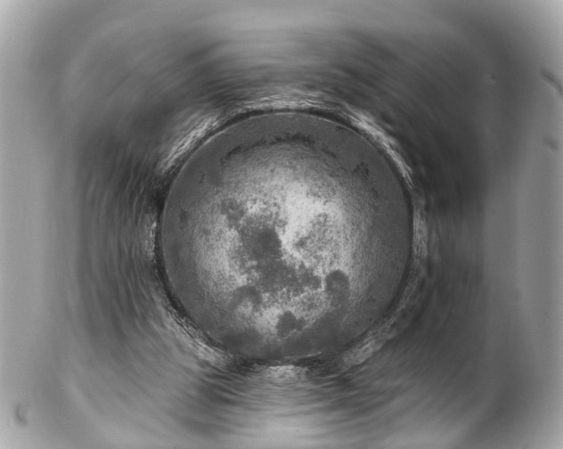 X0000102500153200808151530