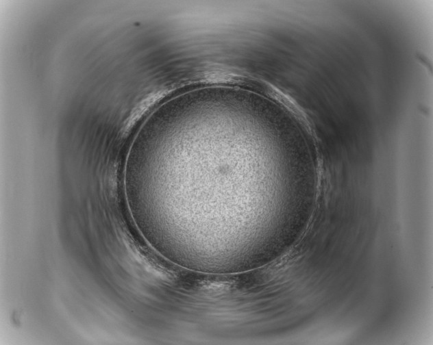 X0000102500155200808151530