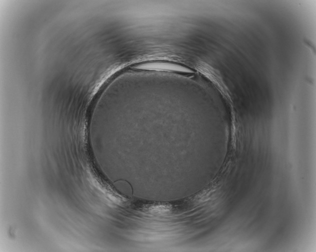 X0000102500156200808151530