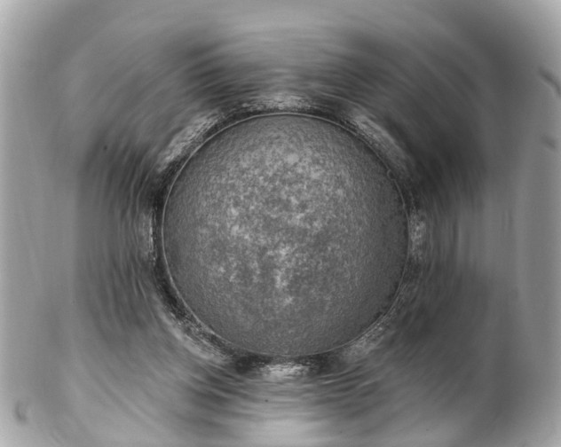 X0000102500158200808151530