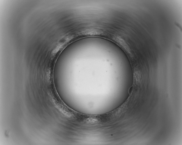 X0000102500159200808151530