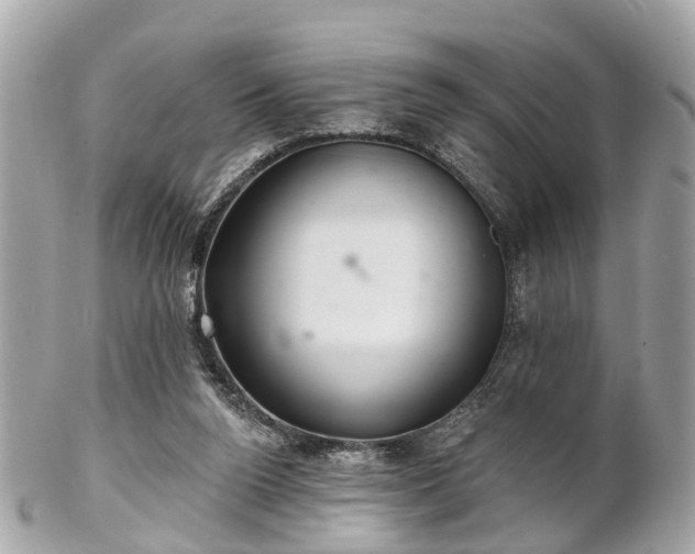 X0000102500160200808151530