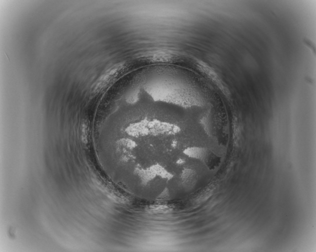 X0000102500161200808151530