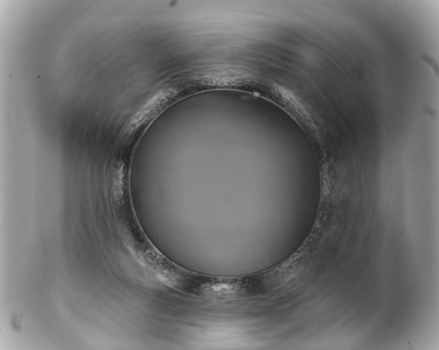 X0000102500163200808151530