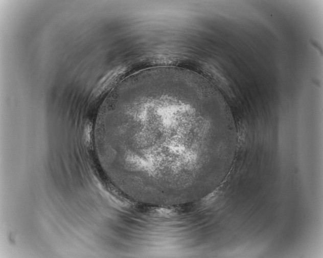 X0000102500166200808151530