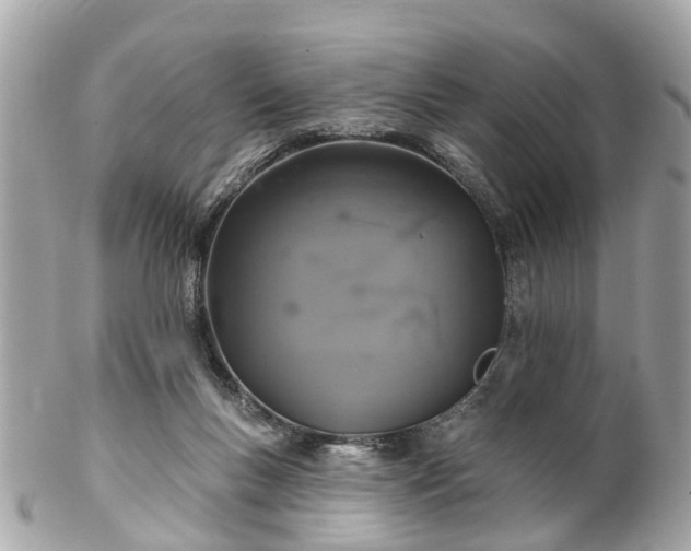 X0000102500167200808151530