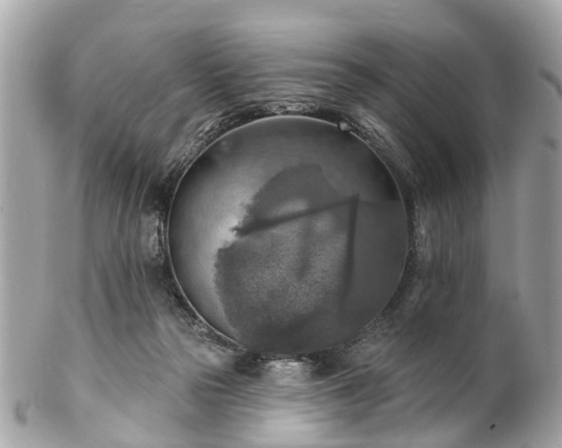 X0000102500169200808151530